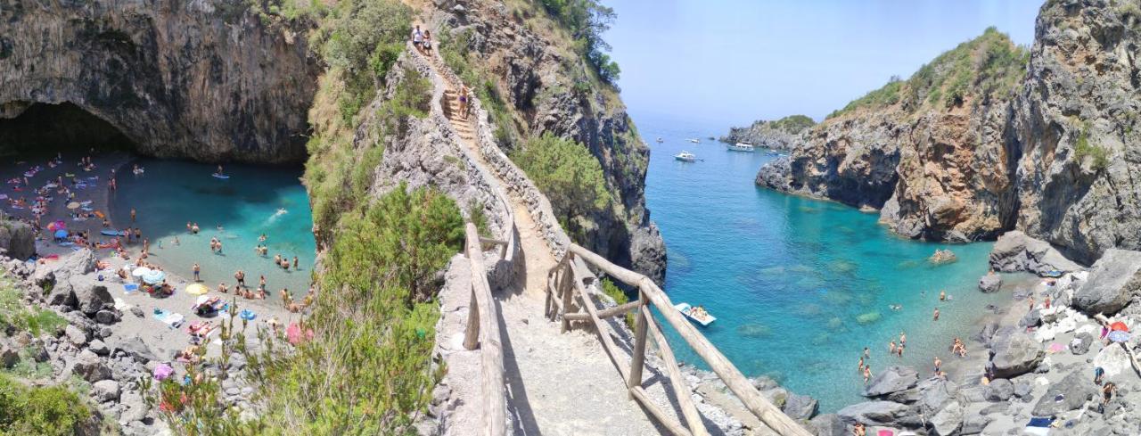 Villa Max San Nicola Arcella Eksteriør billede